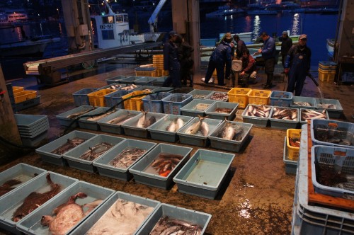 真鶴魚市場